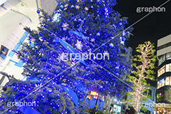 PARCOクリスマスツリー,イルミネーション,イルミ,illumination,電飾,電球,発光ダイオード,LED,冬,キラキラ,綺麗,きれい,キレイ,煌,輝,スポット,都内,渋谷,PARCO,パルコ,真っ青,イベント,shibuya,行事