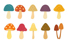 キノコ・セット,きのこ,キノコ,茸,秋の味覚,秋の素材セット,秋,イラスト,セットイラスト,セット,手描き風,illustration,autumn,mushroom