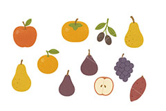 秋のフルーツ・セット,秋の味覚,フルーツ,カキ,柿,なし,ナシ,梨,洋梨,洋ナシ,ぶどう,ブドウ,葡萄,りんご,リンゴ,さつまいも,サツマイモ,さつま芋,秋の素材セット,秋,イラスト,セットイラスト,セット,手描き風,illustration,autumn,fruit