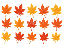 紅葉セット,紅葉,落ち葉,落葉,モミジ,もみじ,葉っぱ,葉,秋の素材セット,秋,イラスト,セットイラスト,セット,手描き風,illustration,autumn