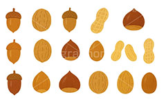 木の実セット,くり,クリ,栗,どんぐり,ドングリ,団栗,木の実,クルミ,くるみ,ナッツ,秋の素材セット,秋,イラスト,セットイラスト,セット,手描き風,illustration,autumn