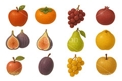秋のフルーツ・セット,秋の味覚,フルーツ,カキ,柿,なし,ナシ,梨,洋梨,洋ナシ,ぶどう,ブドウ,葡萄,りんご,リンゴ,マスカット,秋の素材セット,秋,イラスト,セットイラスト,セット,手描き風,illustration,autumn,fruit