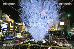 イルミネーション,イルミ,illumination,電飾,電球,発光ダイオード,LED,冬,キラキラ,綺麗,きれい,キレイ,煌,輝,デート,スポット,都内,自由が丘,イベント,冬,目黒区,行事