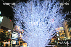 イルミネーション,イルミ,illumination,電飾,電球,発光ダイオード,LED,冬,キラキラ,綺麗,きれい,キレイ,煌,輝,デート,スポット,都内,自由が丘,イベント,冬,目黒区,行事