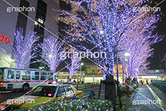 大井町,おおいまち,イルミネーション,イルミ,illumination,電飾,電球,発光ダイオード,LED,冬,キラキラ,綺麗,きれい,キレイ,煌,輝,イベント,品川区,行事