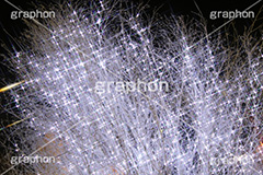イルミネーション,イルミ,illumination,電飾,電球,発光ダイオード,LED,冬,キラキラ,綺麗,きれい,キレイ,煌,輝,デート,スポット,都内,自由が丘,イベント,目黒区,クロスフィルタ,行事