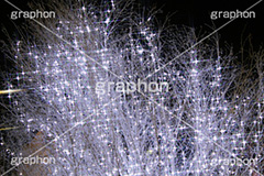 イルミネーション,イルミ,illumination,電飾,電球,発光ダイオード,LED,冬,キラキラ,綺麗,きれい,キレイ,煌,輝,デート,スポット,都内,自由が丘,イベント,目黒区,クロスフィルタ,行事