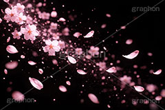 光る花吹雪,花吹雪,桜,さくら,サクラ,はなびら,花弁,花びら,光る,エフェクト,テクスチャ,テクスチャー,舞う,夜桜,花見,散る,光彩,effect,texture,blossoms,AI生成素材