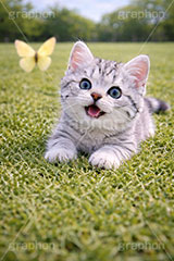 春のお散歩,蝶々,ちょうちょ,ちょう,追いかけ,芝生,春,公園,散歩,にゃー,ニャー,アメリカンショートヘアの子猫,ねこ,ネコ,猫,子猫,キャット,アメリカンショートヘア,アメショ,かわいい,カワイイ,可愛い,キュート,ペット,動物,cute,pet,cat,spring,AI生成素材