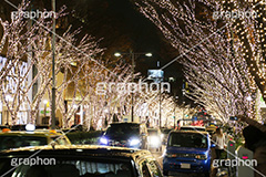 表参道イルミネーション,表参道,イルミネーション,イルミ,電飾,電球,冬,キラキラ,綺麗,きれい,キレイ,煌,輝,デート,スポット,都内,並木道,シャンパンゴールド,ロマンチック,イベント,渋谷区,原宿,illumination