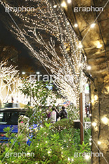 表参道イルミネーション,表参道,イルミネーション,イルミ,電飾,電球,冬,キラキラ,綺麗,きれい,キレイ,煌,輝,デート,スポット,都内,並木道,シャンパンゴールド,ロマンチック,イベント,渋谷区,原宿,illumination