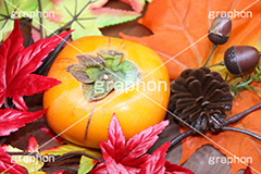 秋の味覚,柿,かき,フルーツ,渋い,甘い,果物,季語,秋,fruit,japan,autumn
