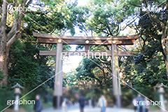 鳥居,とりい,明治神宮,めいじじんぐう,渋谷区,明治天皇,昭憲皇太后,祭神,明治,神宫,境内,御苑,外苑,原宿