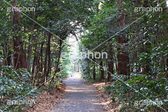 明治神宮,めいじじんぐう,渋谷区,明治天皇,昭憲皇太后,祭神,明治,神宫,境内,御苑,外苑,原宿