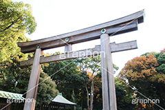 鳥居,とりい,明治神宮,めいじじんぐう,渋谷区,明治天皇,昭憲皇太后,祭神,明治,神宫,境内,御苑,外苑,原宿