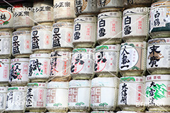 酒樽,樽酒,樽,タル,奉納,明治神宮,めいじじんぐう,渋谷区,明治天皇,昭憲皇太后,祭神,明治,神宫,境内,御苑,外苑,お酒,酒,原宿,さけ,アルコール,日本酒