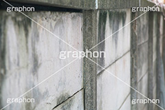 塀,ブロック塀,境界,苔,こけ,アパート,マンション,建築,ブロック,セメント,古びた
