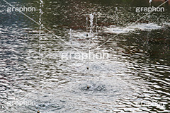 噴水,ふんすい,公園,憩,噴き,水しぶき,ファウンテン,水,テクスチャ,テクスチャー,texture