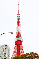 東京タワー,タワー,総合電波塔,電波,塔,日本電波塔,333m,とうきょうタワー,Tokyo Tower,港区,東京のシンボル,観光名所,japan