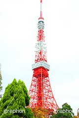 東京タワー,タワー,総合電波塔,電波,塔,日本電波塔,333m,とうきょうタワー,Tokyo Tower,港区,東京のシンボル,観光名所,japan