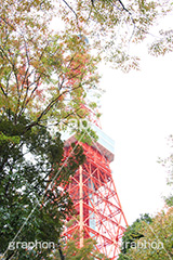 東京タワー,タワー,総合電波塔,電波,塔,日本電波塔,333m,とうきょうタワー,Tokyo Tower,港区,東京のシンボル,観光名所,japan