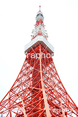 東京タワー,タワー,総合電波塔,電波,塔,日本電波塔,333m,とうきょうタワー,Tokyo Tower,港区,東京のシンボル,観光名所,japan
