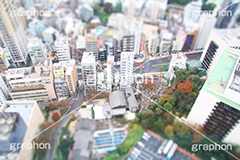 東京タワー下,東京タワー,Tokyo Tower,港区,高所,高所恐怖症,眺め,怖い,高い,見下ろす,展望台,展望,ティルトシフト,撮影,のような,模型風,ミニチュア風,ジオラマ風,あおり,煽り,japan