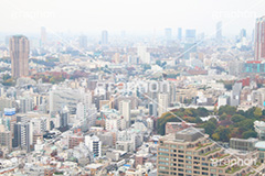 六本木方面,眺め,展望台,展望,ビル群,東京,港区,building,office