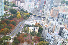 交差点,交通,道路,Yの字,分岐,展望台,展望,眺め,ながめ,見下ろす,港区,東京,一望,見晴