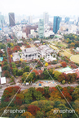 増上寺,寺,東京タワー,展望台,展望,眺め,ながめ,見下ろす,Tokyo Tower,港区,東京,一望,見晴,寺院