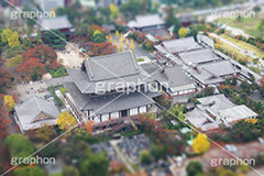 増上寺,寺,東京タワー,展望台,展望,眺め,ながめ,見下ろす,Tokyo Tower,港区,東京,一望,見晴,寺院