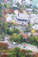 増上寺,寺,東京タワー,展望台,展望,眺め,ながめ,見下ろす,Tokyo Tower,港区,東京,一望,見晴,寺院