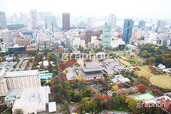 増上寺,寺,東京タワー,展望台,展望,眺め,ながめ,見下ろす,Tokyo Tower,港区,東京,一望,見晴,寺院