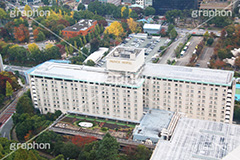 東京プリンスホテル,ホテル,hotel,展望台,展望,眺め,ながめ,見下ろす,港区,東京