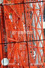 東京タワー下,東京タワー,Tokyo Tower,港区,高所,高所恐怖症,眺め,怖い,高い,見下ろす,展望台,展望,ガラス張り,ガラス床,鉄骨