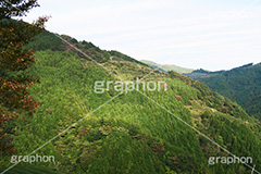 山,やま,自然,空,景色,山頂,雲,地形,木々,草木,絶景,眺め,標高