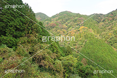 山,やま,自然,空,景色,山頂,雲,地形,木々,草木,絶景,眺め,標高