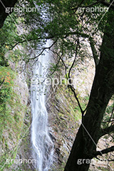滝,瀧,たき,流れ,落下,瀑布,飛瀑,自然,絶景,マイナスイオン,イオン,静岡県,宇嶺の滝,お君の滝