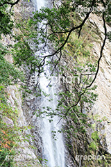 滝,瀧,たき,流れ,落下,瀑布,飛瀑,自然,絶景,マイナスイオン,イオン,静岡県,宇嶺の滝,お君の滝