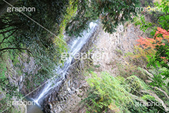 紅葉と滝,紅葉,滝,瀧,たき,流れ,落下,瀑布,飛瀑,自然,絶景,マイナスイオン,イオン,滝つぼ,滝壺,japan,autumn,静岡県,宇嶺の滝,お君の滝