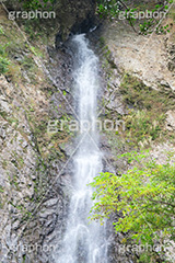 滝,瀧,たき,流れ,落下,瀑布,飛瀑,自然,絶景,マイナスイオン,イオン,水しぶき,しぶき,静岡県,宇嶺の滝,お君の滝