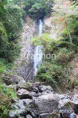 紅葉と滝,紅葉,滝,瀧,たき,流れ,落下,瀑布,飛瀑,自然,絶景,マイナスイオン,イオン,岩,japan,autumn,静岡県,宇嶺の滝,お君の滝