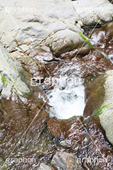 河原,川,河,流れ,自然,岩,探索,泡,あわ,段差