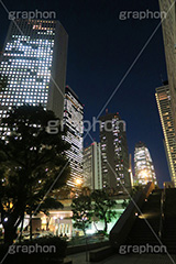 新宿の夜景,新宿,夜景,景色,都庁前,東京,夜,ビル,ビル群,残業,高層ビル,オフィスビル,ビジネス街,shinjuku,building,office