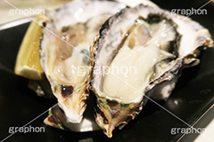 生ガキ,生,かき,カキ,牡蠣,貝,甲殻類,魚介,魚介類,海鮮,シーフード,生もの,居酒屋,ツマミ,つまみ,日本食,和食,日本料理,おつまみ