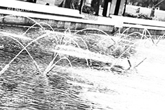 代々木公園,モノクロ,白黒,しろくろ,モノクローム,単色画,単彩画,単色,tokyo,渋谷,原宿