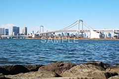レインボーブリッジ,橋,ブリッジ,吊り橋,東京港連絡橋,お台場,台場,DAIBA,東京都港区台場,東京臨海副都心,御台場,東京湾,港区