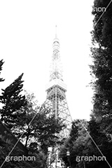 東京タワー,モノクロ,白黒,しろくろ,モノクローム,単色画,単彩画,単色