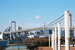 レインボーブリッジ,橋,ブリッジ,吊り橋,東京港連絡橋,お台場,台場,DAIBA,東京都港区台場,東京臨海副都心,御台場,東京湾,港区