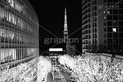 けやき坂イルミネーション,モノクロ,白黒,しろくろ,モノクローム,単色画,単彩画,単色